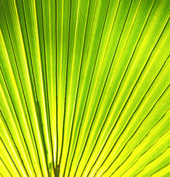 Similar image 10475310