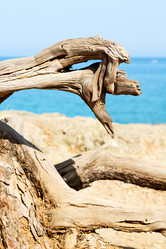 Similar image 10475318