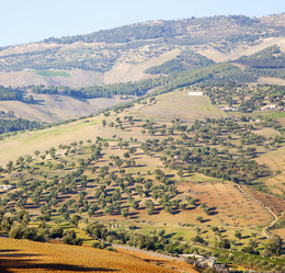 Similar image 10475328