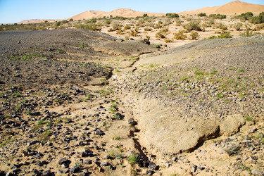 Similar image 10475364