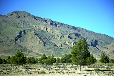 Similar image 10475394