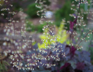 Similar image 10476192