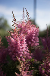 Similar image 10476193