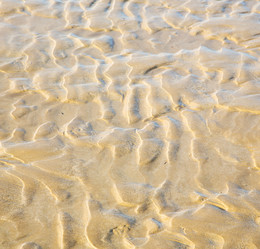 Similar image 10476221