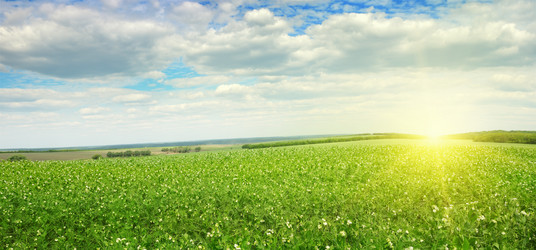 Similar image 10477769