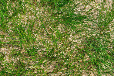 Similar image 10478608