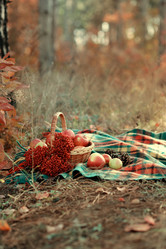 Similar image 10478624