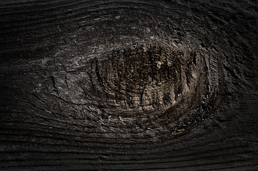 Similar image 10478629