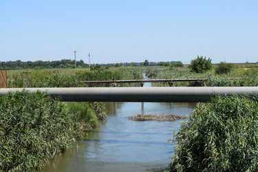 Similar image 10478681