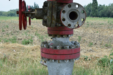 Similar image 10478689