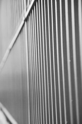 Similar image 10478694