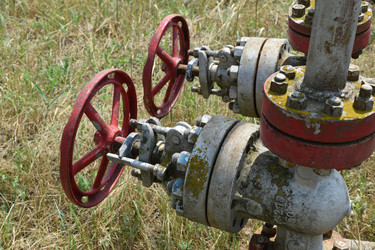 Similar image 10478709