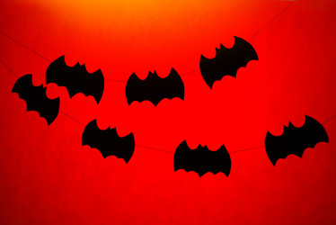 Similar image 10478767