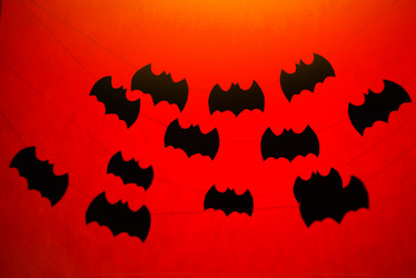 Similar image 10478768