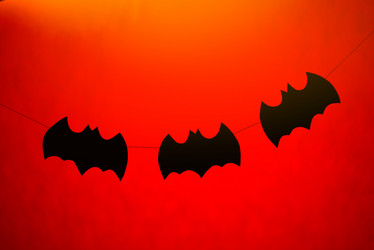 Similar image 10478769