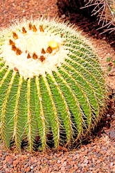 Similar image 10478847