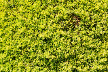 Similar image 10478868