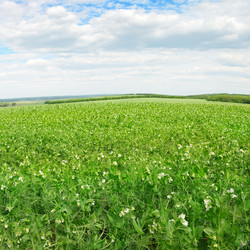 Similar image 10478915