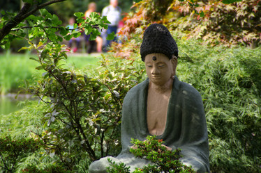 Similar image 10480154