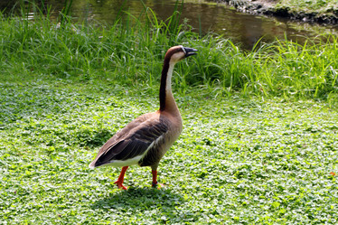 Similar image 10480155