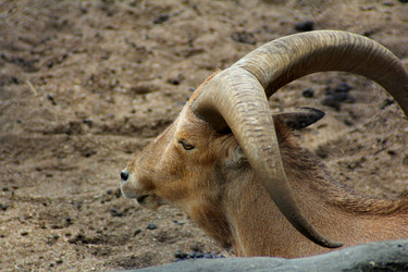 Similar image 10480158