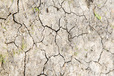 Similar image 10480228