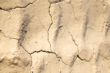 Similar image 10480230