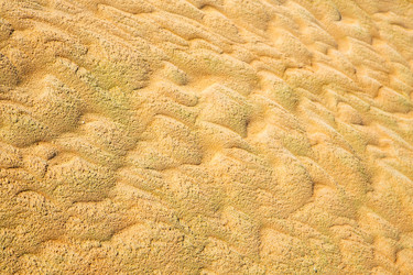 Similar image 10480231