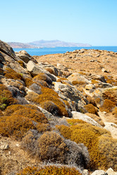 Similar image 10480261