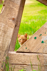 Similar image 10480269