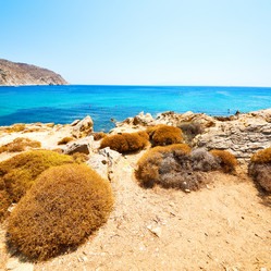 Similar image 10480279