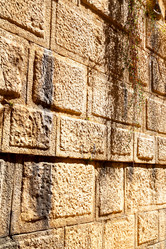 Similar image 10480298