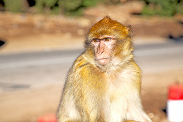 Similar image 10480321