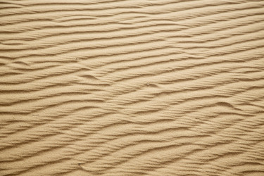 Similar image 10480330