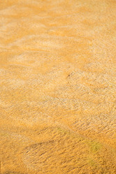 Similar image 10480337