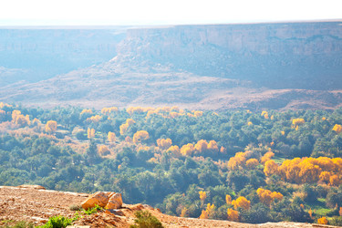 Similar image 10480338