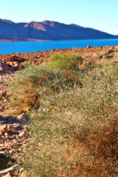 Similar image 10480344