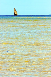 Similar image 10480361