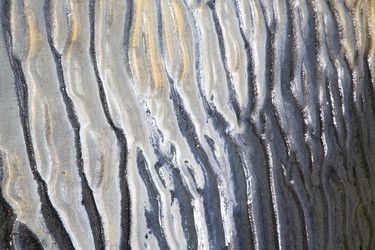 Similar image 10480365