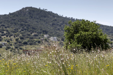 Similar image 10480829