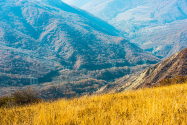 Similar image 10481742