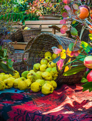 Similar image 10481744