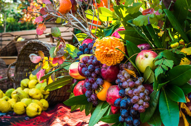 Similar image 10481745