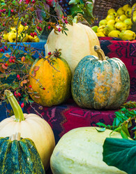 Similar image 10481748