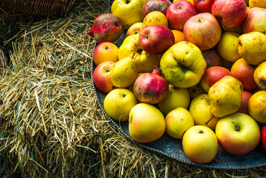 Similar image 10481749