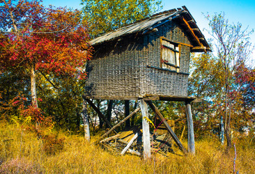 Similar image 10481753