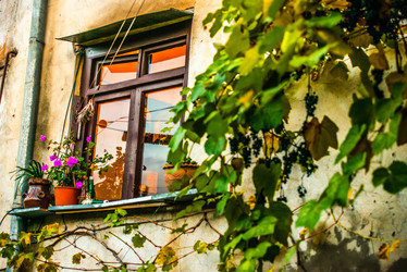 Similar image 10481759