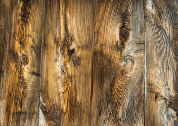 Similar image 10481763