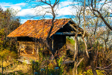 Similar image 10481770