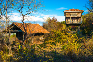 Similar image 10481772